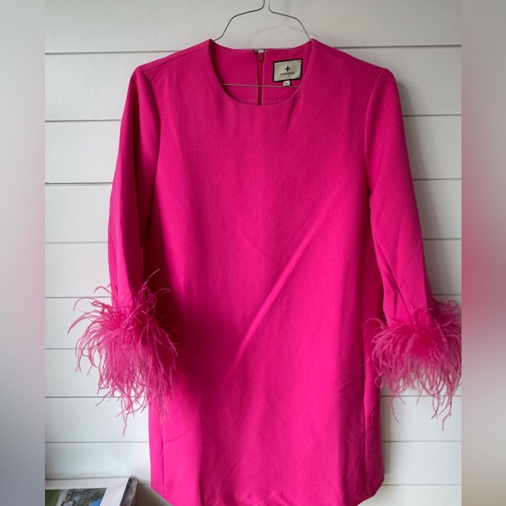 Tuckernuck Pink Dress size L